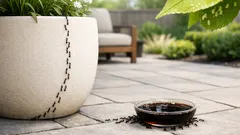 How to use cola to pull ants away from plants without making the problem worse