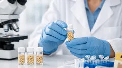 New gene-based method could pinpoint time of death using maggots more accurately