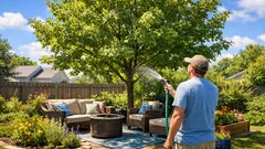 The best small yard trees that add shade without crowding your space